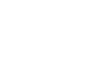 costimizer-logo2